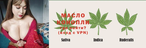 хмурый Верея