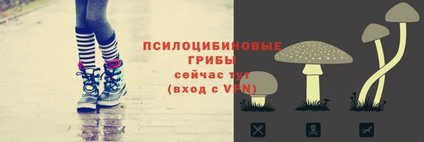 ешки Тавда