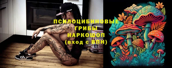 хмурый Верея