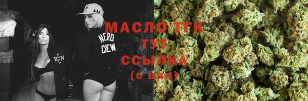 хмурый Верея