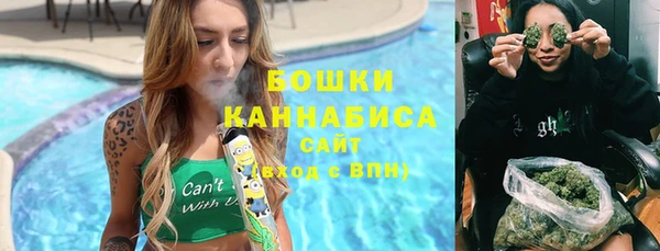 хмурый Верея